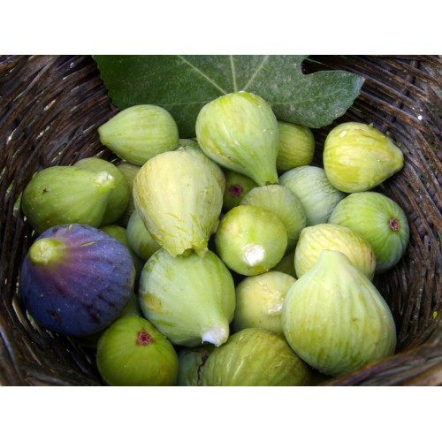 Figues (250gr)