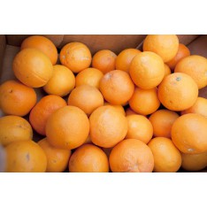 Taronja (1 kg)